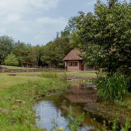 El Molino De Bonaco Guest House ซาน บีเซนเต เด ลา บาร์เกรา ภายนอก รูปภาพ