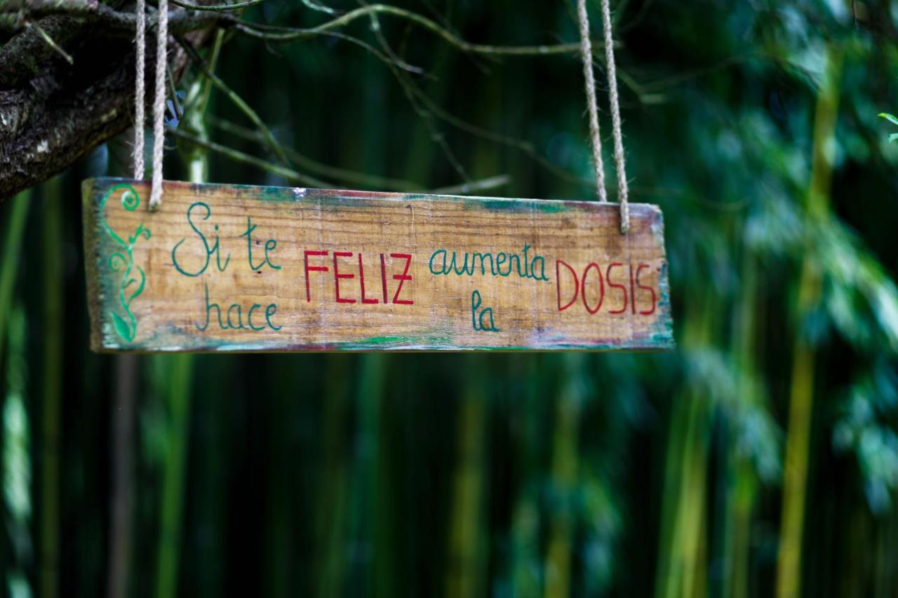 El Molino De Bonaco Guest House ซาน บีเซนเต เด ลา บาร์เกรา ภายนอก รูปภาพ